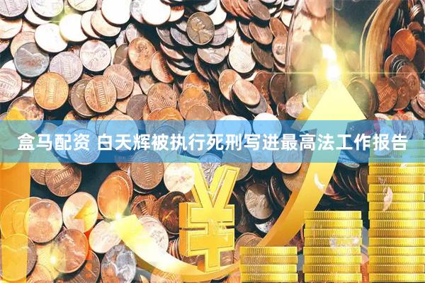 盒马配资 白天辉被执行死刑写进最高法工作报告