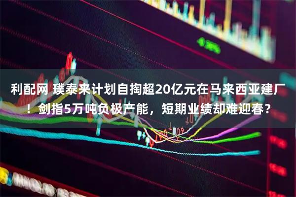 利配网 璞泰来计划自掏超20亿元在马来西亚建厂！剑指5万吨负极产能，短期业绩却难迎春？