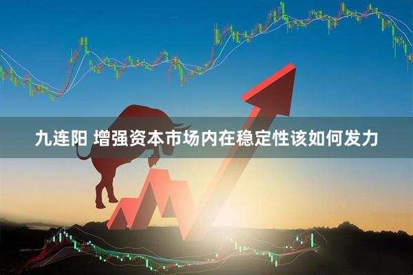 九连阳 增强资本市场内在稳定性该如何发力