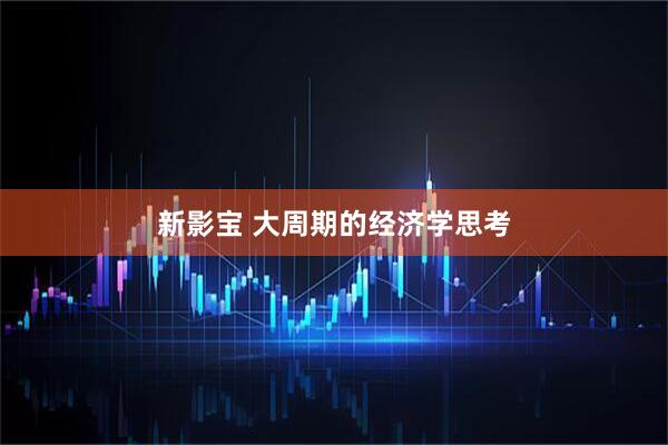 新影宝 大周期的经济学思考