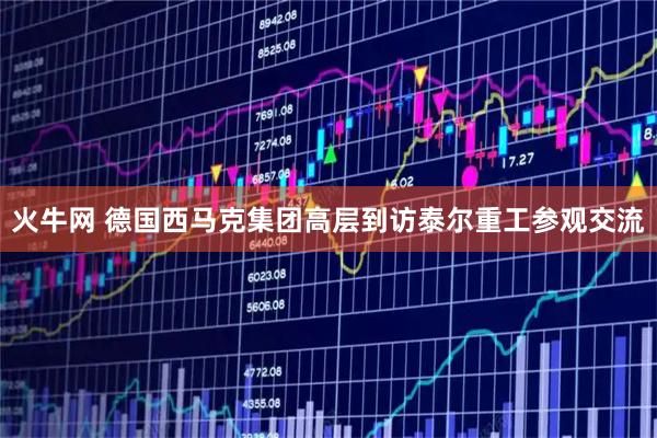 火牛网 德国西马克集团高层到访泰尔重工参观交流