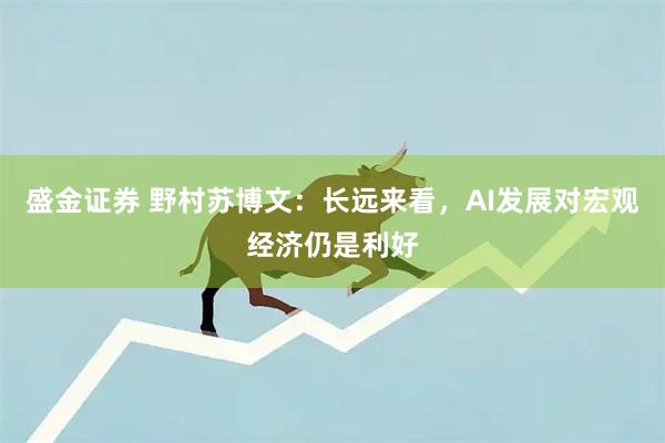 盛金证券 野村苏博文：长远来看，AI发展对宏观经济仍是利好