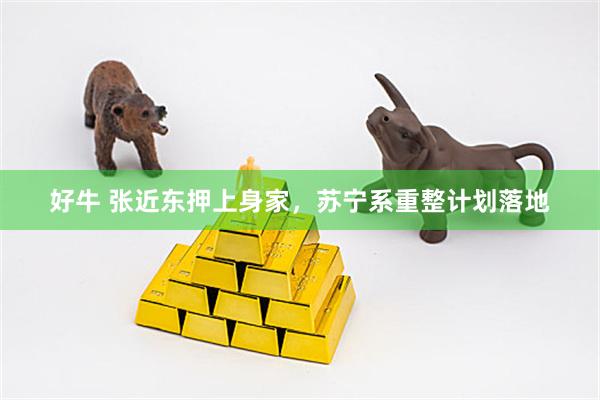 好牛 张近东押上身家，苏宁系重整计划落地