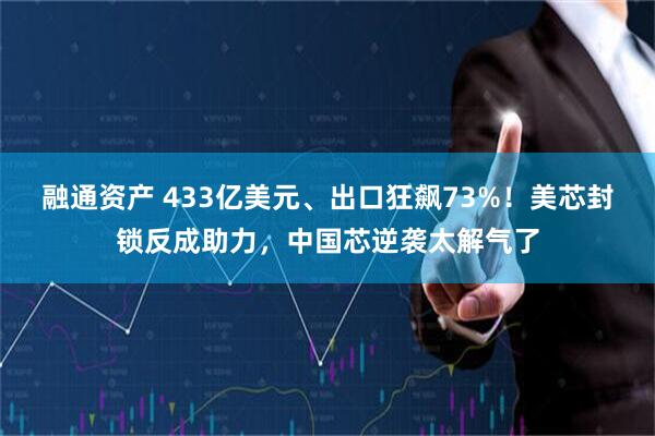 融通资产 433亿美元、出口狂飙73%！美芯封锁反成助力，中国芯逆袭太解气了