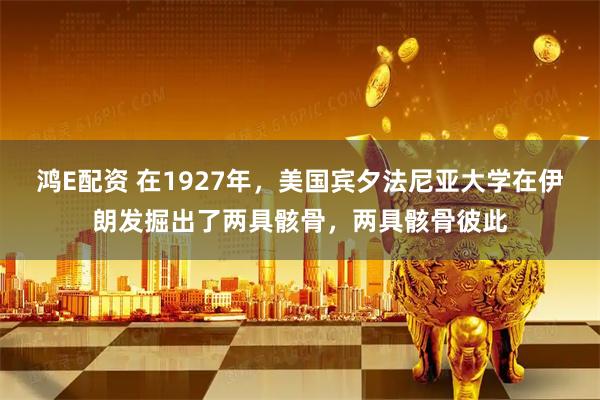 鸿E配资 在1927年，美国宾夕法尼亚大学在伊朗发掘出了两具骸骨，两具骸骨彼此