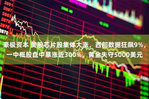 豪极资本 美股芯片股集体大涨,西部数据狂飙9%,一中概股盘中暴涨近300%,黄金失守5000美元