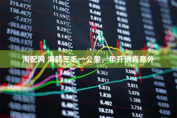 淘配网 海鸥三毛一公里,年开销真意外
