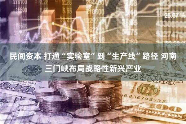 民间资本 打通“实验室”到“生产线”路径 河南三门峡布局战略性新兴产业