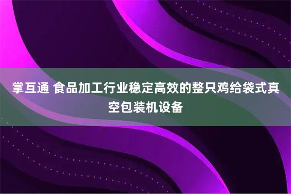 掌互通 食品加工行业稳定高效的整只鸡给袋式真空包装机设备
