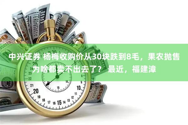中兴证券 杨梅收购价从30块跌到8毛，果农抛售为啥都卖不出去了？ 最近，福建漳