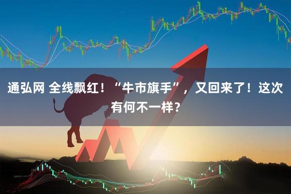 通弘网 全线飘红！“牛市旗手”，又回来了！这次有何不一样？