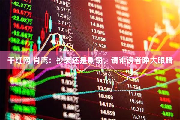 千红网 肖鹰：抄袭还是剽窃，请诽谤者睁大眼睛