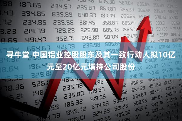 寻牛堂 中国铝业控股股东及其一致行动人拟10亿元至20亿元增持公司股份